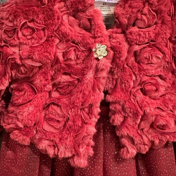 NEW Blueberi Boulevard Dress And Shrug, Burgundy, Tulle and Roses, Sz 2T (2A) - Picture 9 of 9
